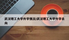 武汉理工大学升学情况/武汉理工大学升学去向