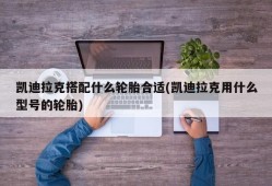 凯迪拉克搭配什么轮胎合适(凯迪拉克用什么型号的轮胎)
