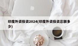 印度外资投资2024(印度外资投资总额多少)