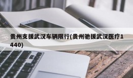 贵州支援武汉车辆限行(贵州驰援武汉医疗1440)