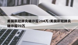 美国新冠肺炎确诊超204万/美国新冠肺炎确诊超70万