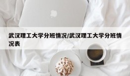 武汉理工大学分班情况/武汉理工大学分班情况表