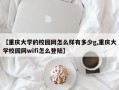【重庆大学的校园网怎么样有多少g,重庆大学校园网wifi怎么登陆】