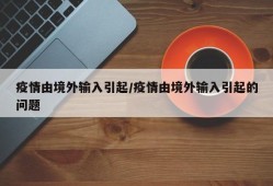 疫情由境外输入引起/疫情由境外输入引起的问题