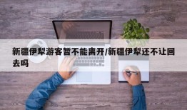 新疆伊犁游客暂不能离开/新疆伊犁还不让回去吗
